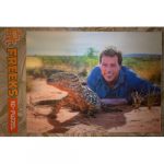 Freek Vonk-3Dpuzzel / puzzle / legpuzzel-Reuzenhagedis Perentie-100 stukjes