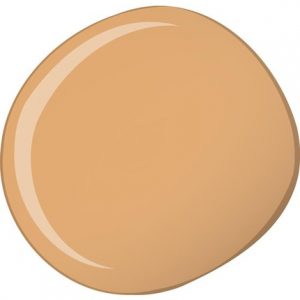 Estee Lauder Double Wear Stay in place Foundation 2c1 Pure Beige Spf 10