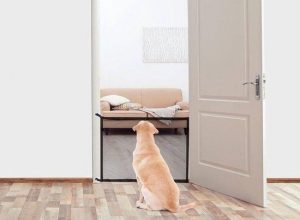 Pet Ville Huisdierenhek