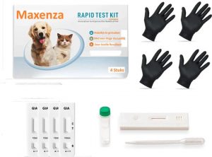 Giardia Ag Rapid Test - Giardia rapid test - 4 Stuks - Giardia sneltest - Giardia Test Kits - Snap Test voor Honden en Katten - Snap Test - inclusief 4 paar handschoenen
