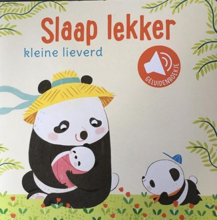 Slaap lekker Kleine Lieverd - Boek