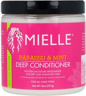 Mielle Organics Babassu Oil & Mint Deep Conditioner - 240 ml