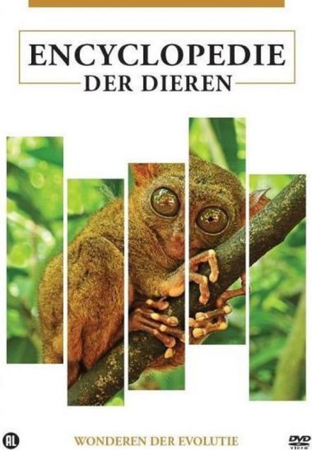 Encyclopedie Der Dieren - Wonderen Der Evolutie - DVD