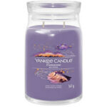 Stargazing Signature Candle ( pozorování hvězd ) - Vonná svíčka 567.0g