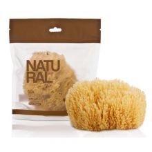 Natural Sea Sponge   sponges