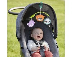 Fisher Price 3 In 1 Kalmeren & Spelen Mobiel Zilver