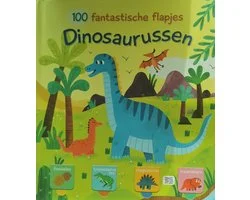 100 fantastische flapjes