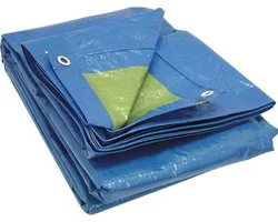 Work-plus dekzeil 3x4 meter blauw / groen